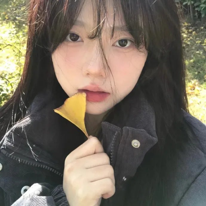 小旅人